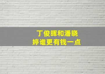 丁俊晖和潘晓婷谁更有钱一点