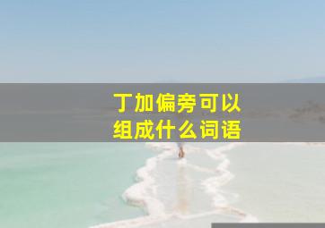 丁加偏旁可以组成什么词语