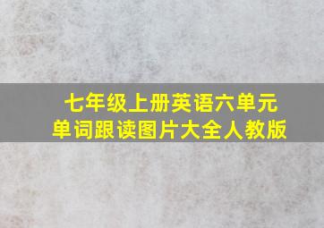 七年级上册英语六单元单词跟读图片大全人教版