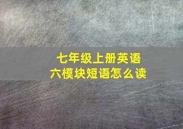 七年级上册英语六模块短语怎么读