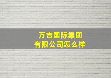 万吉国际集团有限公司怎么样