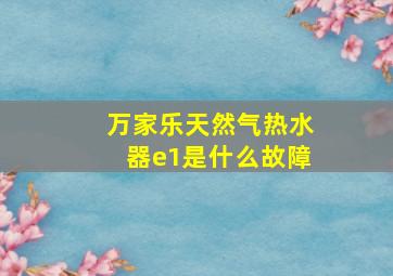 万家乐天然气热水器e1是什么故障