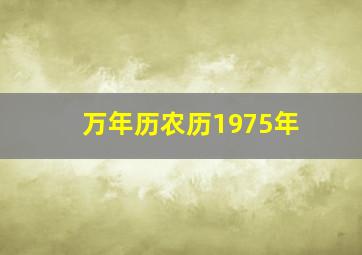 万年历农历1975年