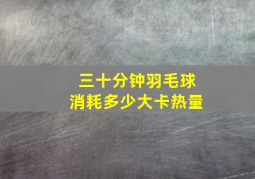 三十分钟羽毛球消耗多少大卡热量