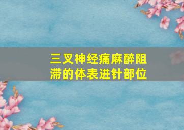 三叉神经痛麻醉阻滞的体表进针部位