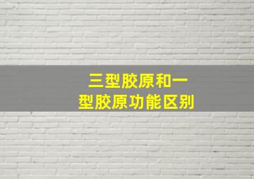 三型胶原和一型胶原功能区别