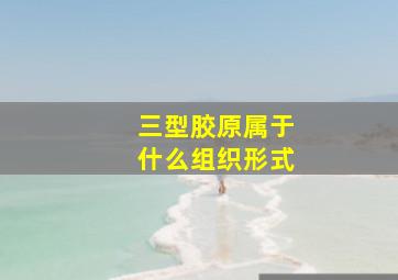 三型胶原属于什么组织形式