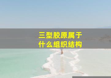 三型胶原属于什么组织结构