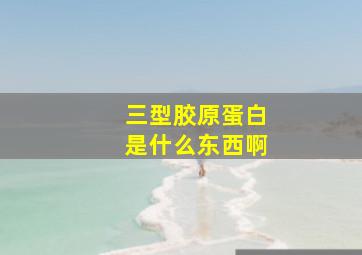 三型胶原蛋白是什么东西啊