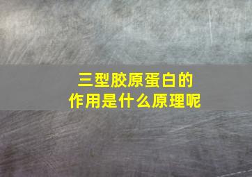 三型胶原蛋白的作用是什么原理呢