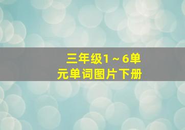 三年级1～6单元单词图片下册