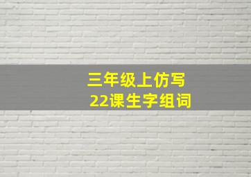 三年级上仿写22课生字组词