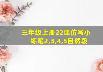 三年级上册22课仿写小练笔2,3,4,5自然段