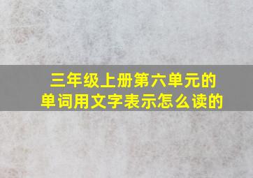 三年级上册第六单元的单词用文字表示怎么读的