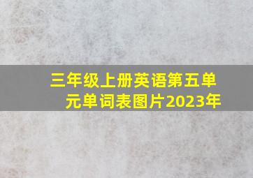 三年级上册英语第五单元单词表图片2023年