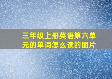 三年级上册英语第六单元的单词怎么读的图片