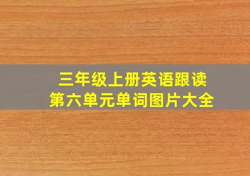 三年级上册英语跟读第六单元单词图片大全