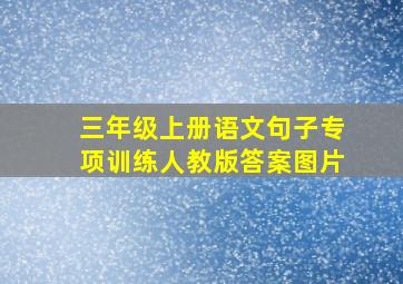 三年级上册语文句子专项训练人教版答案图片