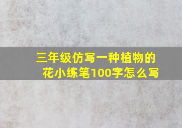 三年级仿写一种植物的花小练笔100字怎么写