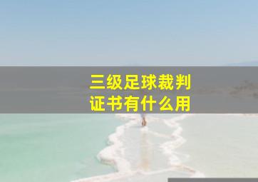 三级足球裁判证书有什么用