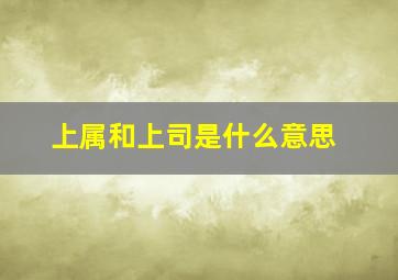 上属和上司是什么意思