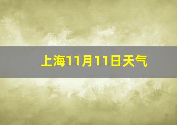 上海11月11日天气