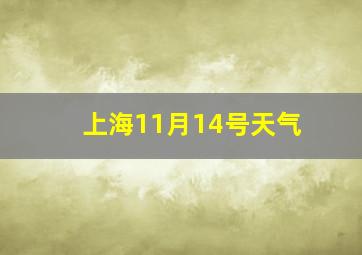 上海11月14号天气