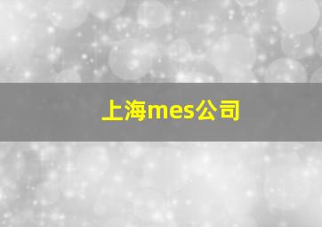 上海mes公司