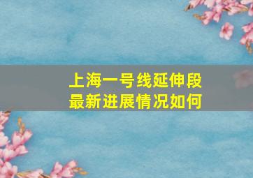 上海一号线延伸段最新进展情况如何