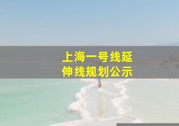 上海一号线延伸线规划公示