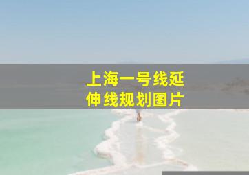 上海一号线延伸线规划图片