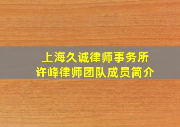 上海久诚律师事务所许峰律师团队成员简介