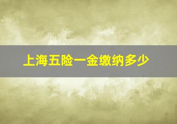 上海五险一金缴纳多少