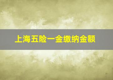 上海五险一金缴纳金额