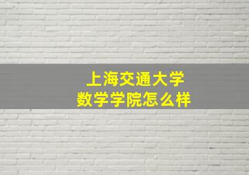 上海交通大学数学学院怎么样