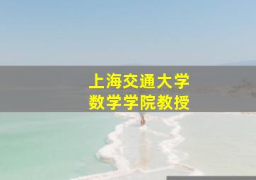 上海交通大学数学学院教授