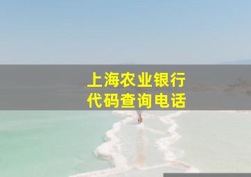 上海农业银行代码查询电话