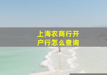 上海农商行开户行怎么查询