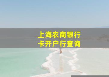 上海农商银行卡开户行查询