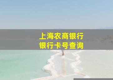 上海农商银行银行卡号查询