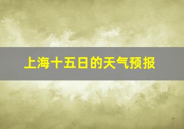 上海十五日的天气预报