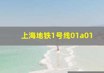 上海地铁1号线01a01