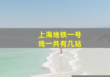 上海地铁一号线一共有几站