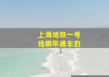 上海地铁一号线哪年通车的