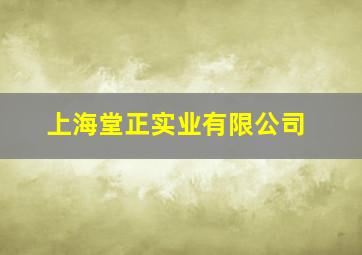 上海堂正实业有限公司