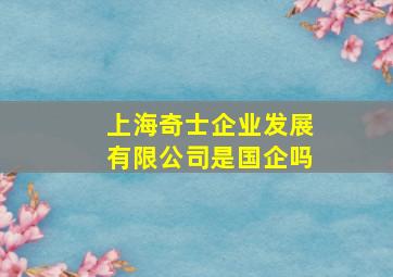 上海奇士企业发展有限公司是国企吗