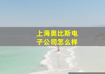 上海奥比斯电子公司怎么样