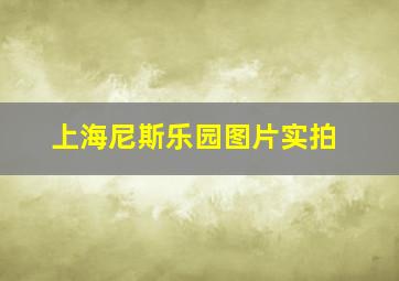 上海尼斯乐园图片实拍