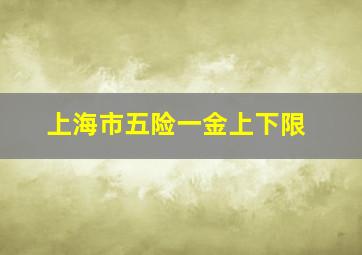 上海市五险一金上下限