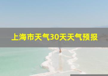 上海市天气30天天气预报